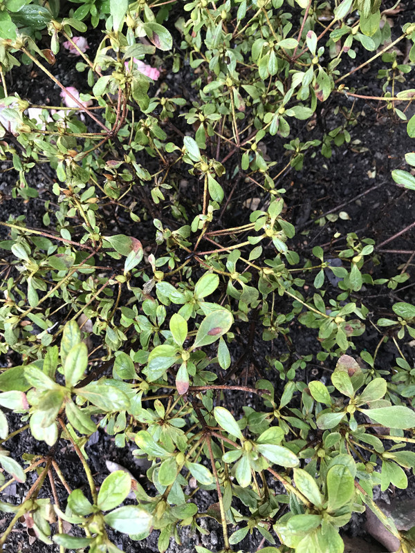 A5CB9CAE-194E-4C64-9167-68A72A593DC4