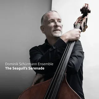 Dominik Schürmann Ensemble • The Seagull's Serenade (2023)    .flac  96.0 kHz/24 bit