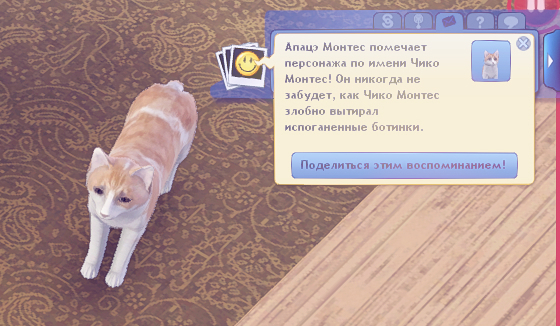 TS3-W-2025-01-07-03-42-33.jpg