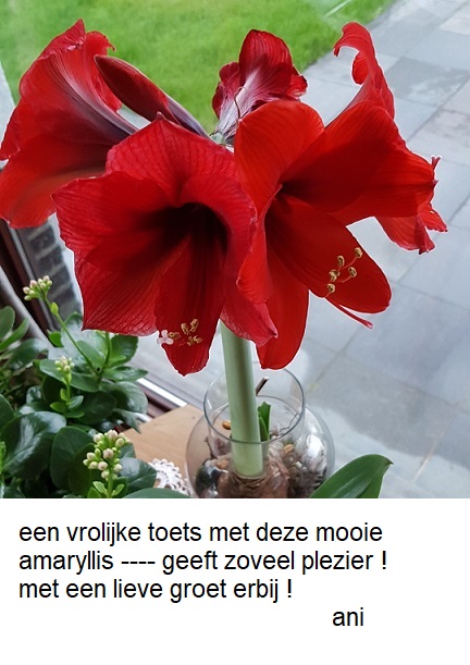 ></a>  </div></body></html>