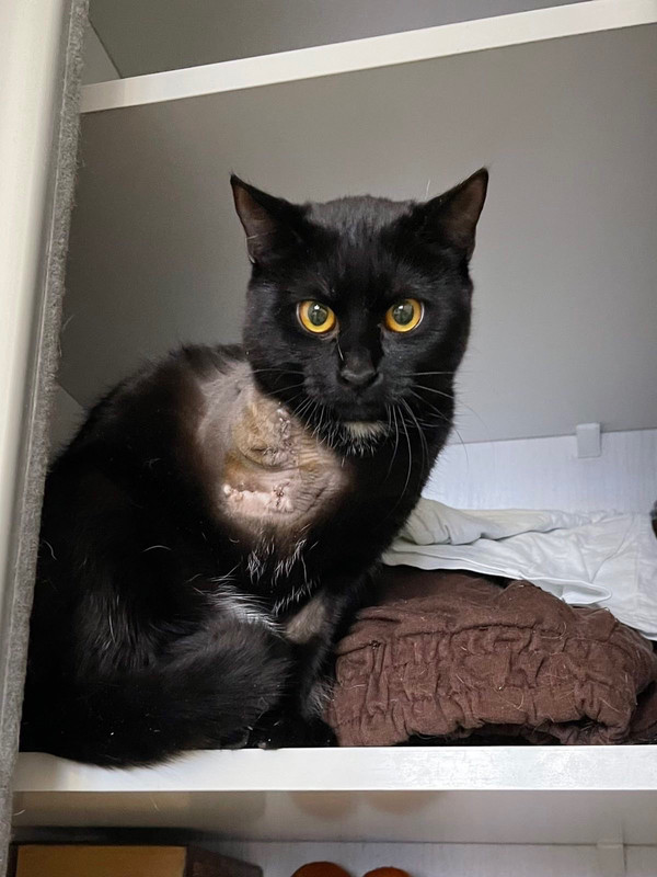 150D8617-4B0F-49A1-8CA7-081634A8BD44