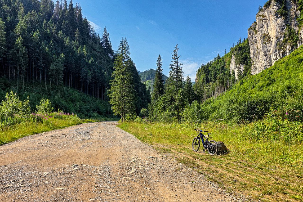 20260803-095336-Edit.jpg