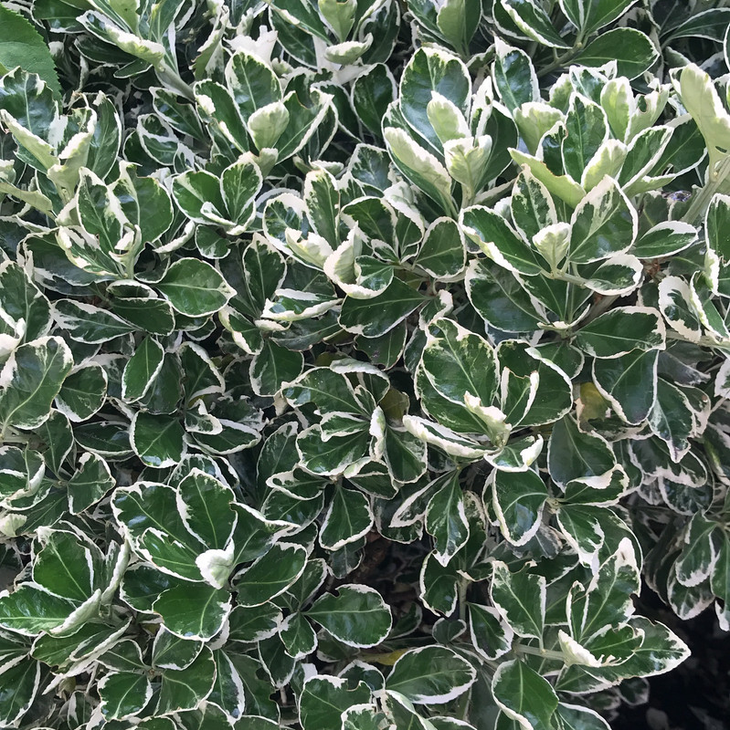 4144D051-583E-4760-A95C-DB8F98659818