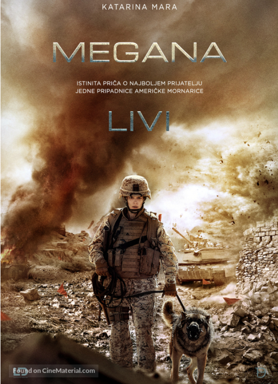 Screenshot-2024-06-20-T212659-506