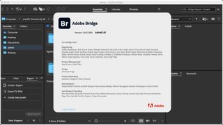 Adobe Bridge 2024 v14.0.3.200 (x64)