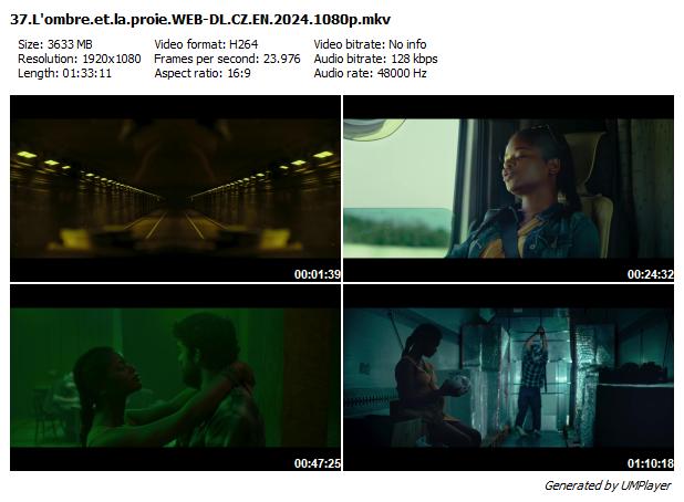 Třicet sedm / 37 : L'ombre et la proie (2024)