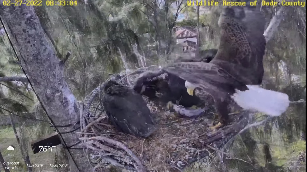 920E0A06-42D3-4194-9294-184AAFB046D2