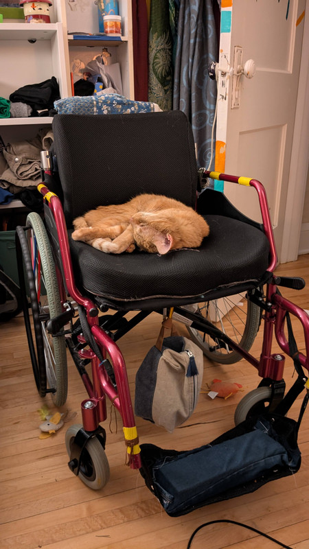 Phone photo of that same chair, heavily modified with soft cushions, a narrower backrest with no handles, and a more solid centered footplate.