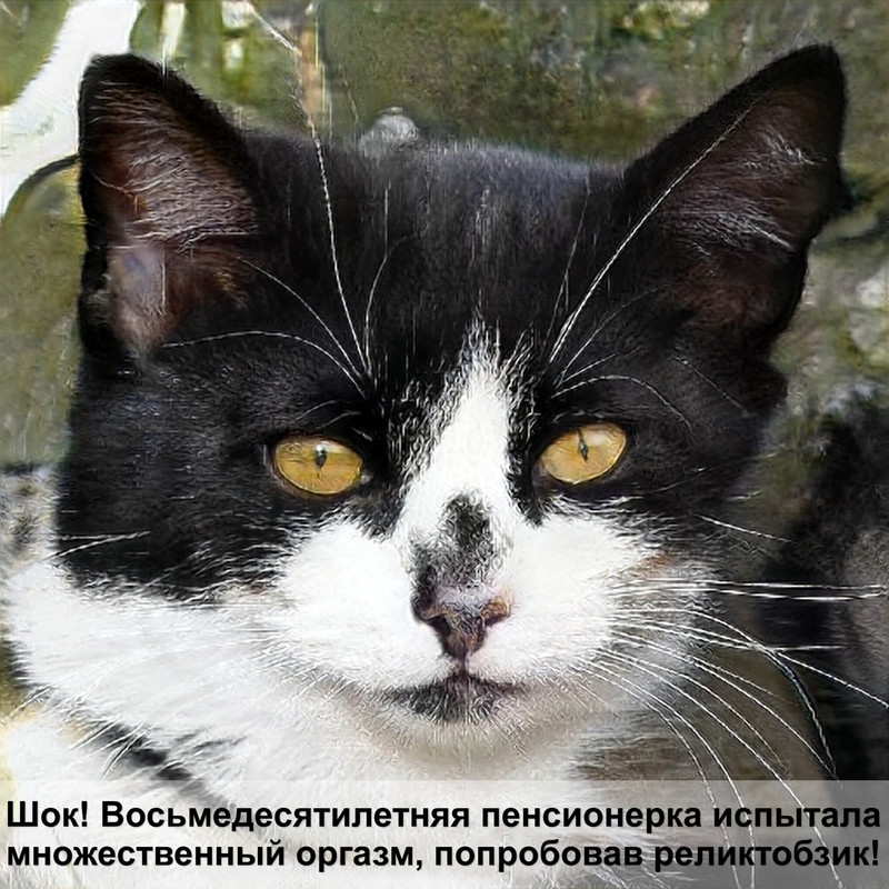 празицид суспензия отзывы