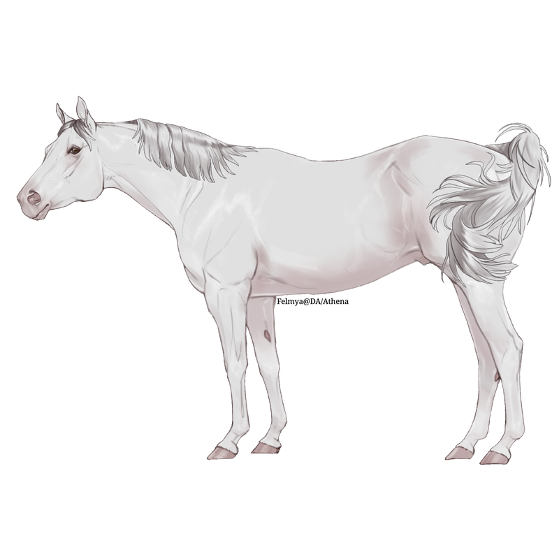 S.png