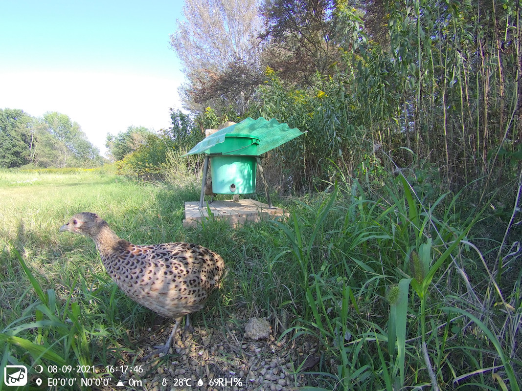 73FB9287-5B46-4977-BCBE-FF89A3599C49