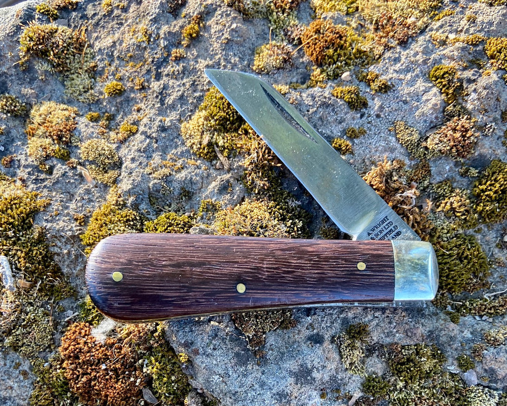 E21BC862-84B7-4B02-9C2F-4709F71C74B7