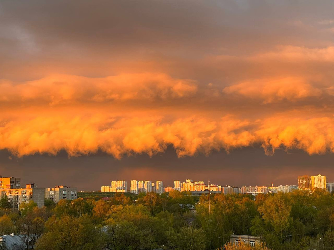 IMG_20220512_163511_195