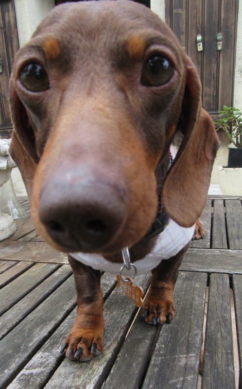 [Image: IMG-1422.jpg]