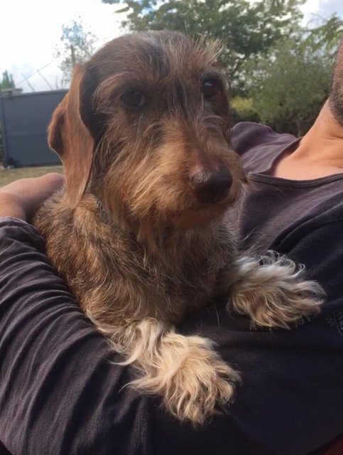 [Image: 64161058-A2-D0-4567-B489-7272-DEA628-BF.jpg]