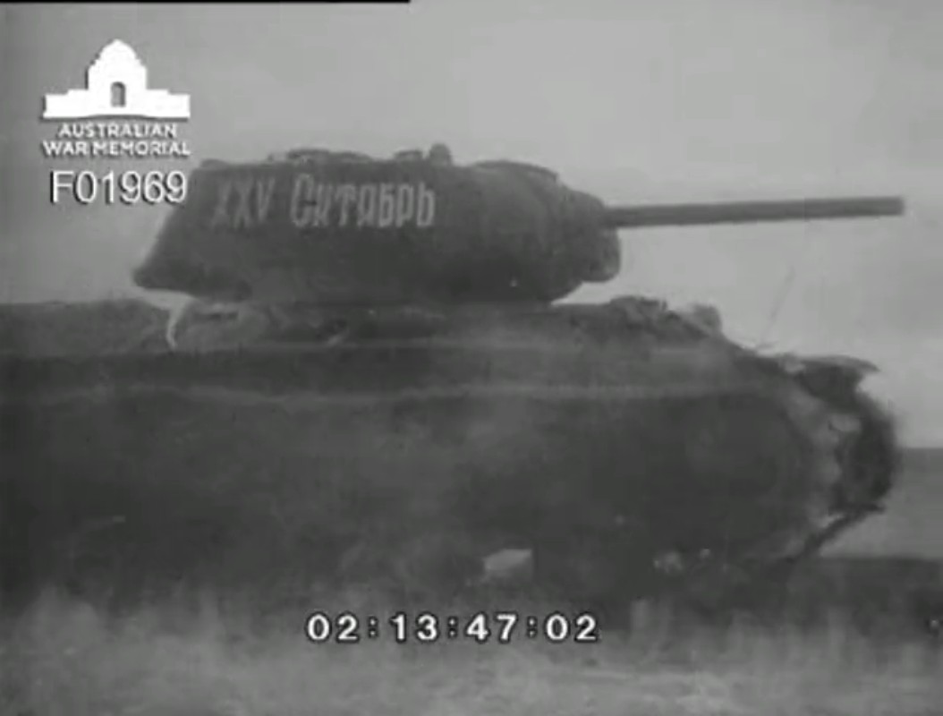 41303