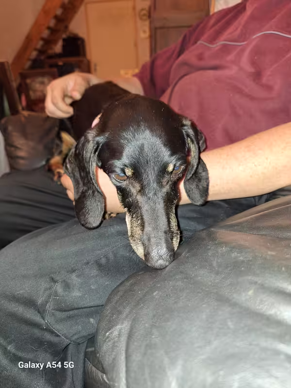 [Image: 20241024-195347.avif]