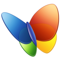 MSN