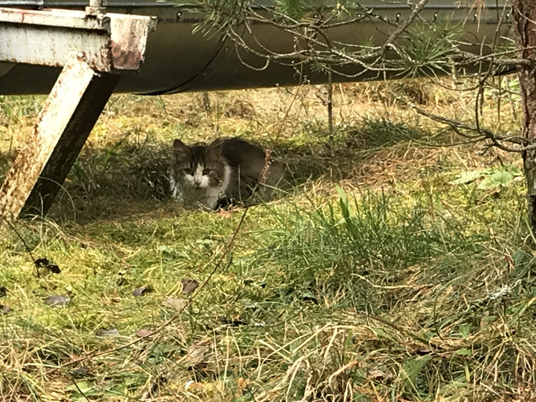 91D4B7AB-CEA8-4F7D-934E-27467673E2A8