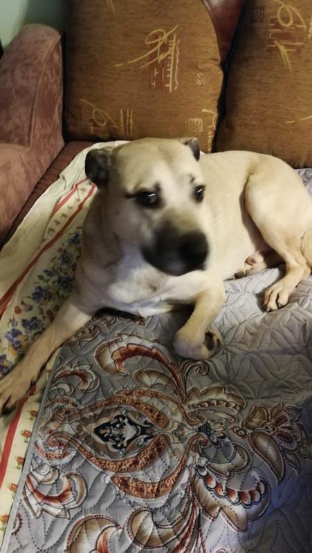 EEF02AF6-7187-4667-9668-2551EB13B734