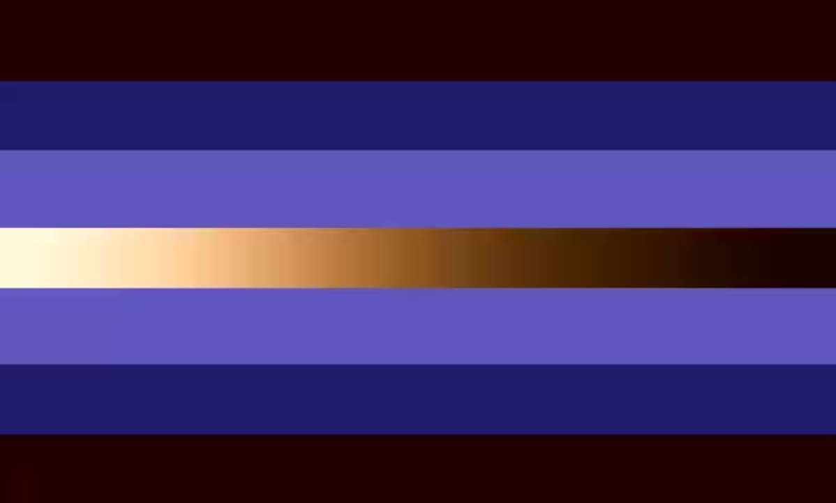 RIDD flag