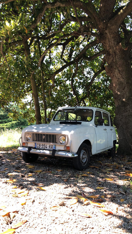 20200519_114847267_iOS