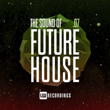 VA - The Sound Of Future House Vol. 07 (2021)
