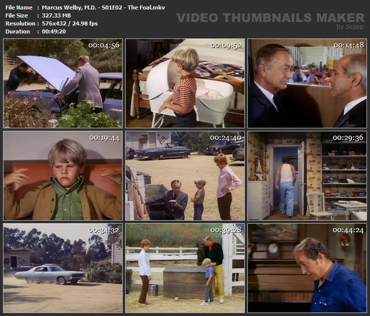 Marcus Welby, M.D. - S01E02 - The Foal.mkv