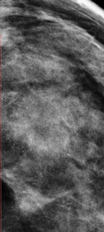 Screenshot_20241207-155958_Gallery