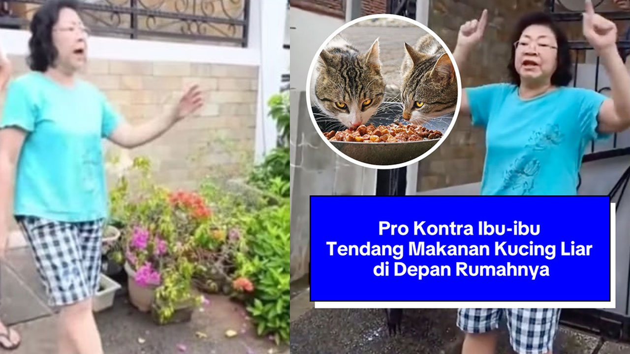 Viral! Pro Kontra Emak-Emak Tendang Makanan Kucing di Depan Rumahnya