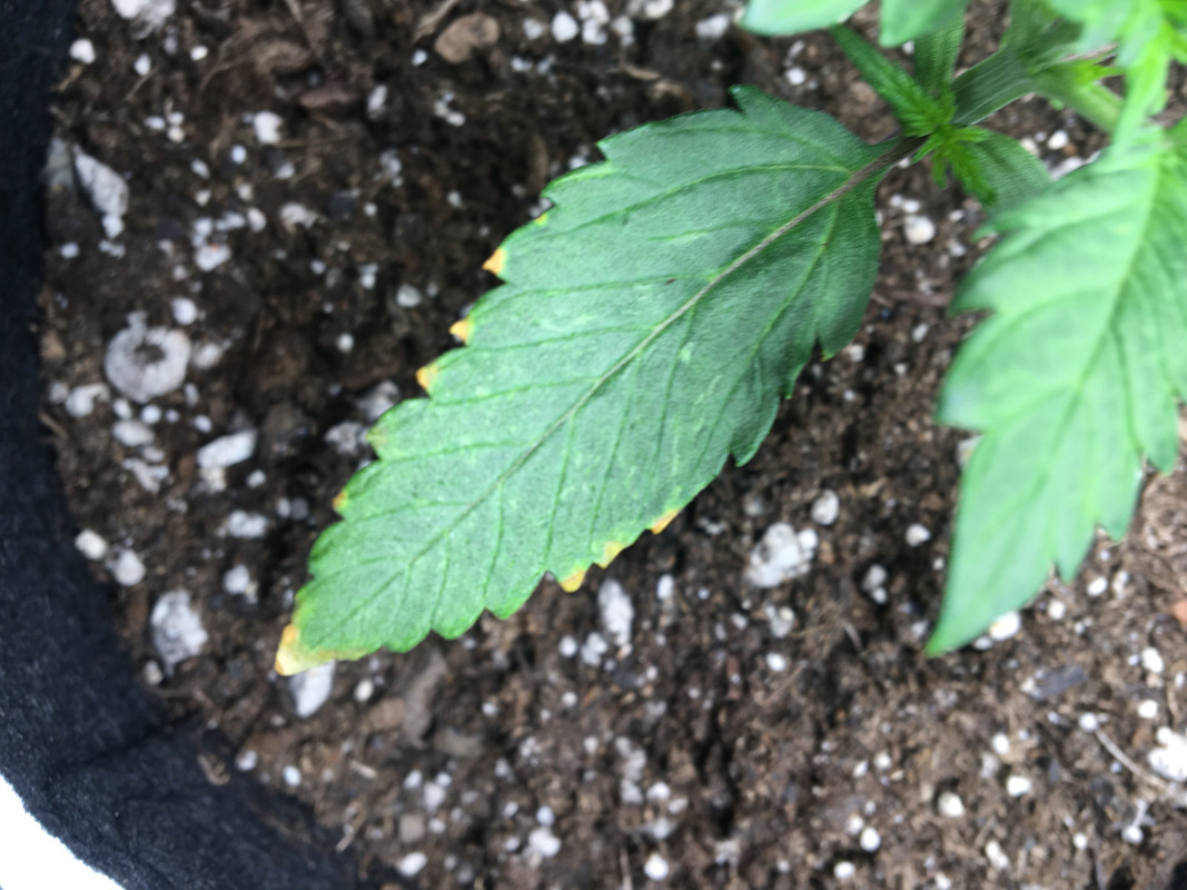 CB8DBDA9-CE62-4B10-8941-CB84C0063D04