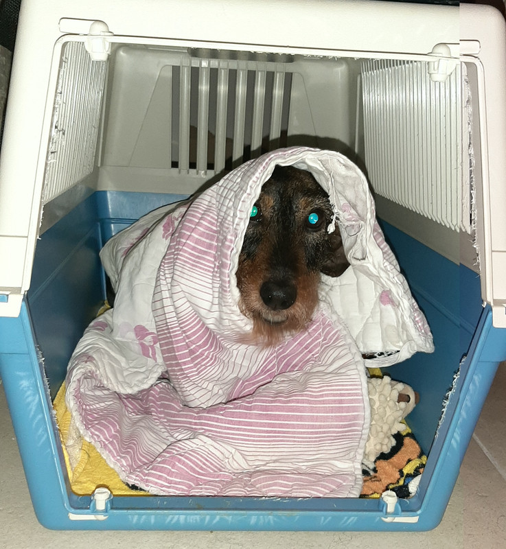 [Image: 01-2021-WEB.jpg]