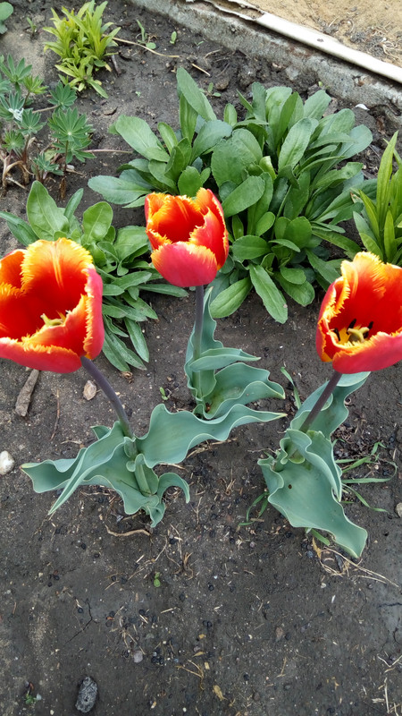 IMG_20190407_155640