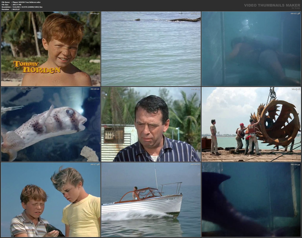 Flipper S01E04 True Believer.mkv