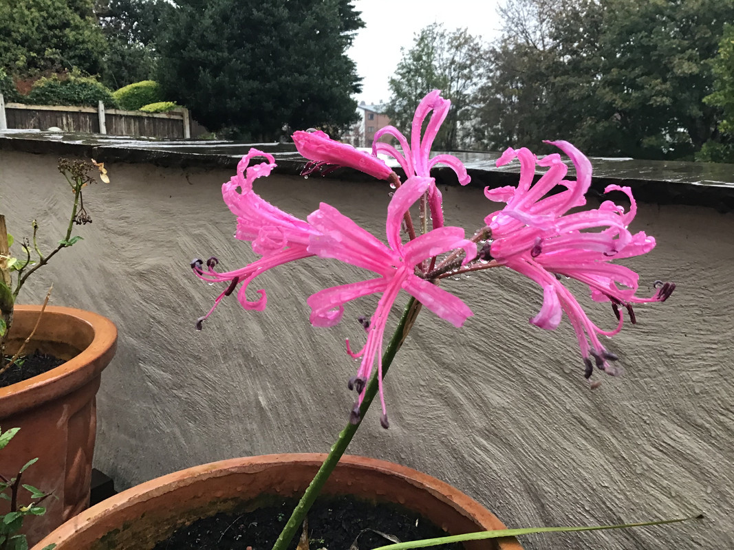 38476C1D-034E-48CC-90E4-3995066A7A2E