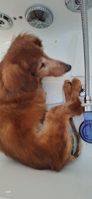 [Image: 20250719-094839.jpg]