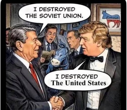 659597236 1262647542688496 5565428886565919149 n