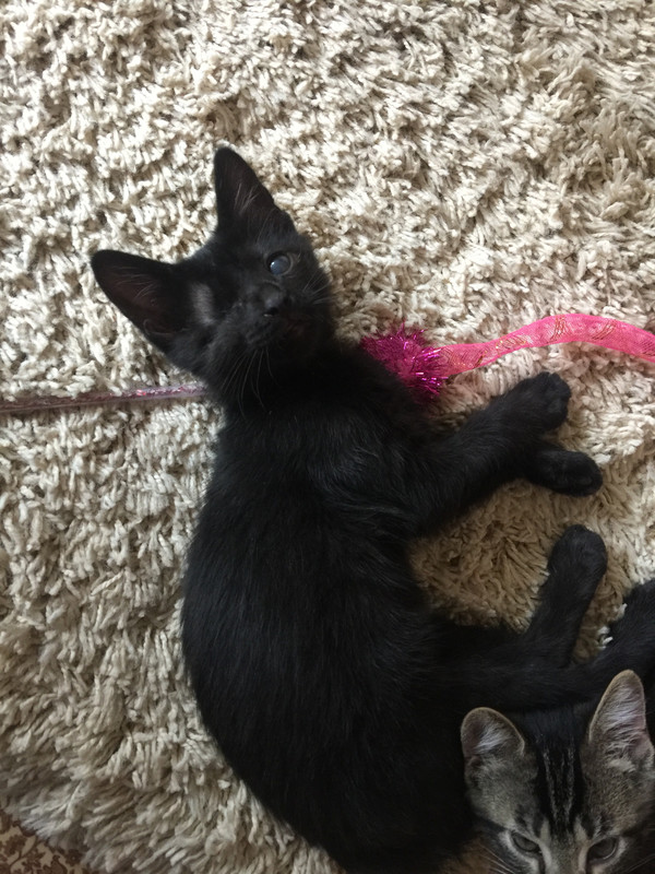 4FCE55E0-1E13-411A-B134-E7CA4EE611D4