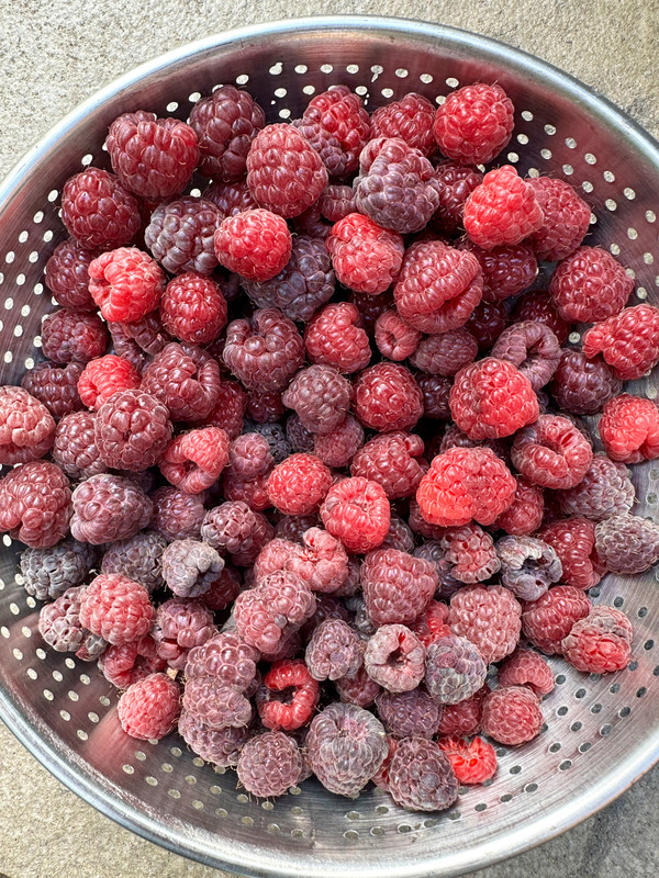 blackberry-4.jpg