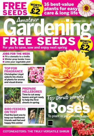 Amateur Gardening - 19 November  2022