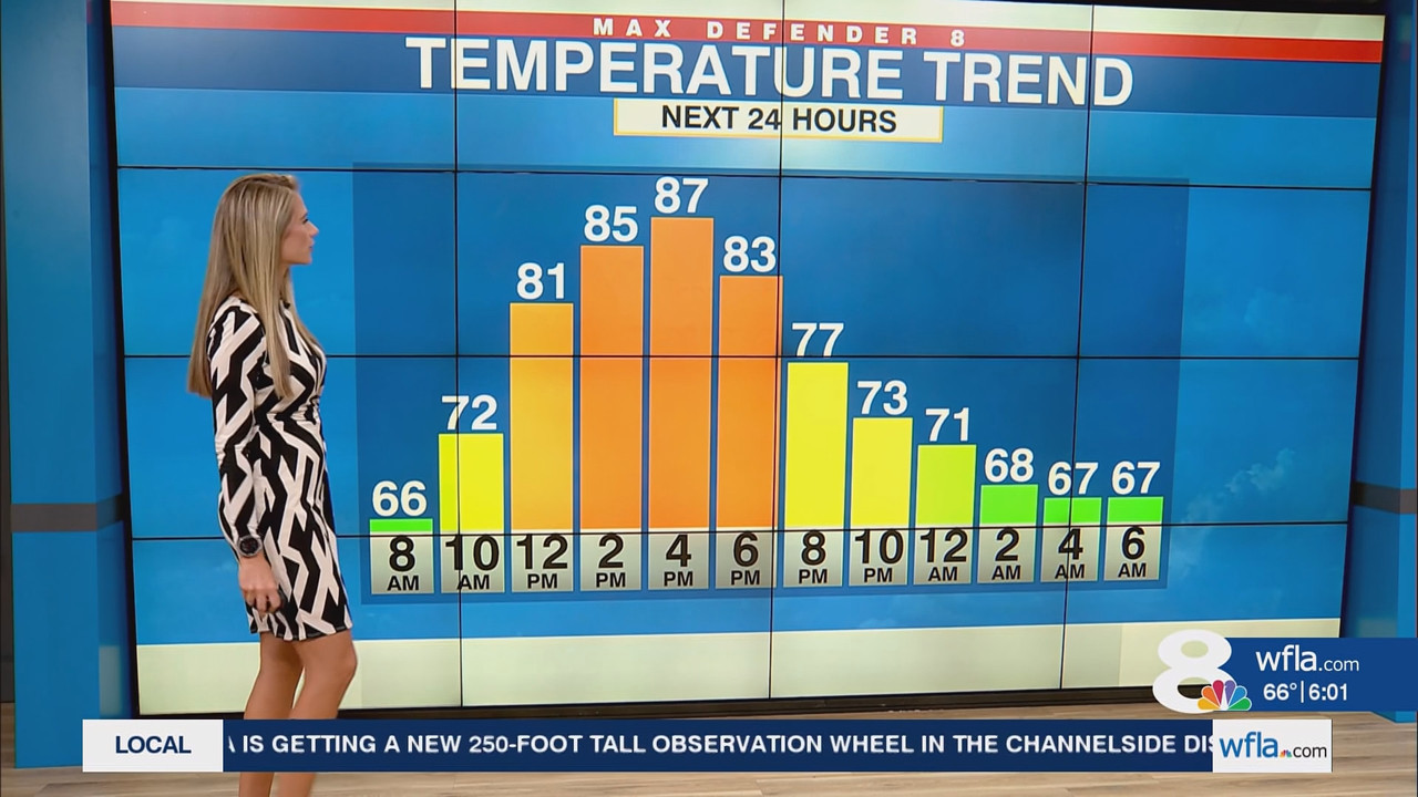 News Channel 8 Today at 6a 20251024 11001200 ts snapshot 00 02 54 155