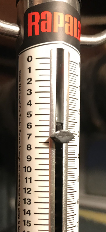 B0FCF246-3BC5-4191-910D-9962F05ADE9A