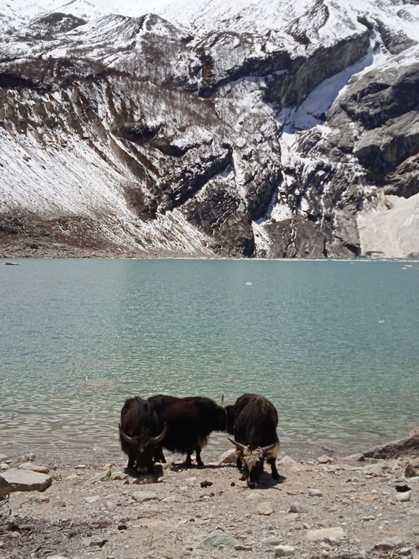 IMG_20230517_230626_778