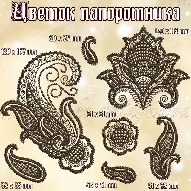 цветок папоротника