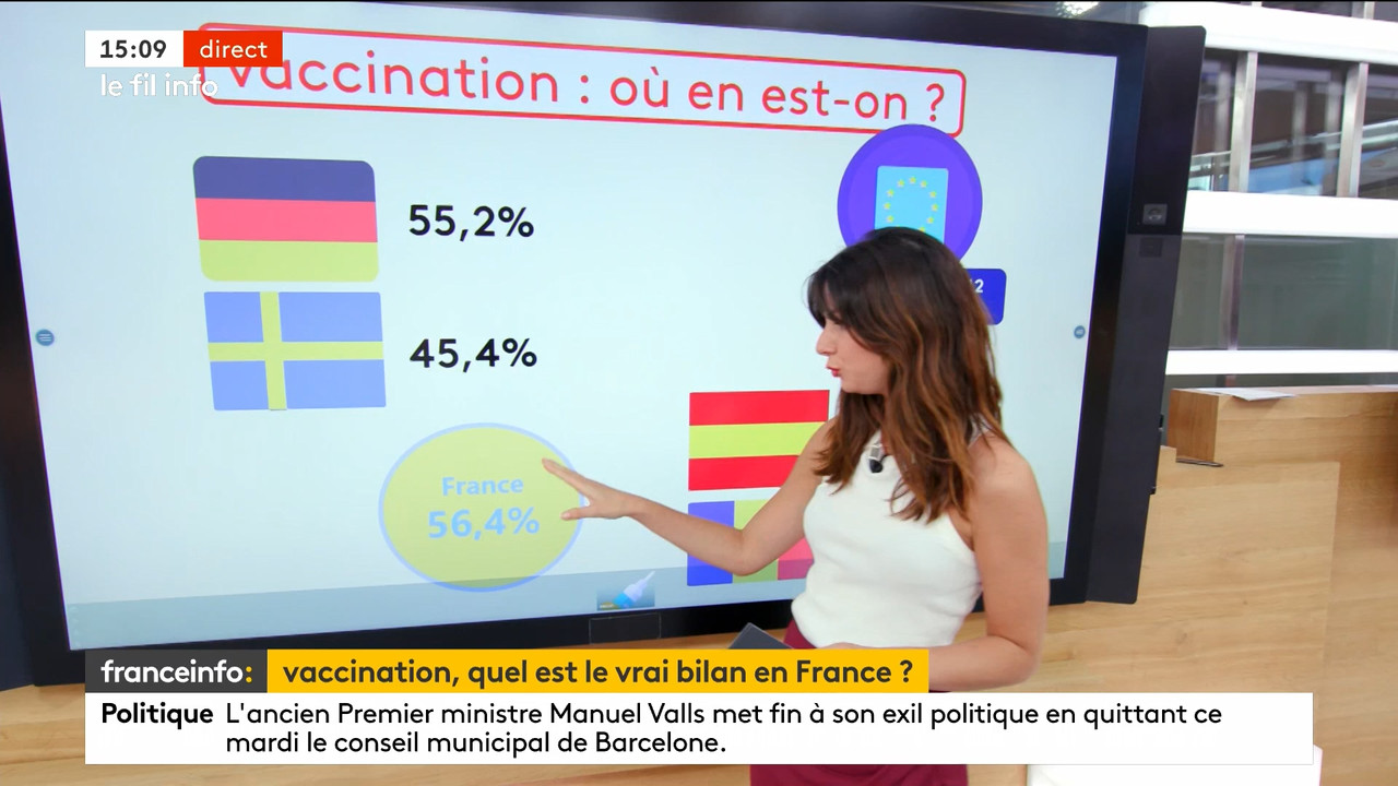 08.31 - 12.59.00 - Le 14h-17h. Au sommaire   Vrai ou fake. - francein..._001.ts_snapshot_00.09.25.42