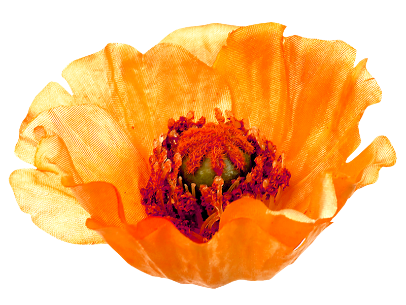 IPD_WP_Element (167)