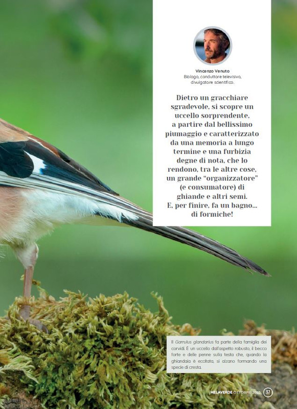 melaverde Ott 2023 (4)