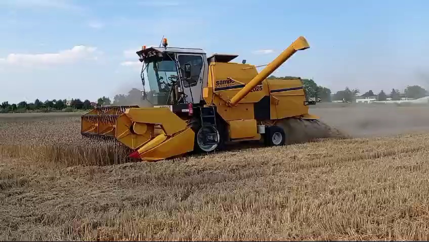 VideoCapture_20240724-051946