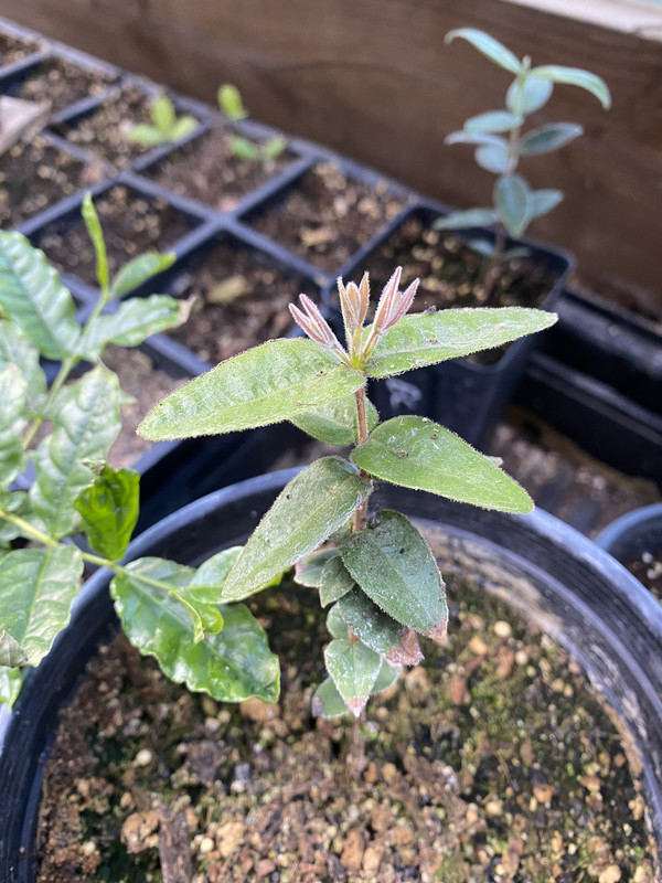 C7608405-8917-44AF-860E-336D5BAFE9EE