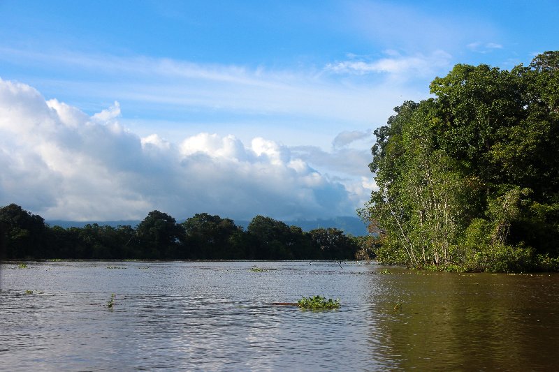 DIA 13: EXCURSIÓN DE UN DÍA A CORCOVADO - DE TORTUGAS Y PEREZOSOS. COSTA RICA 2019 (71)